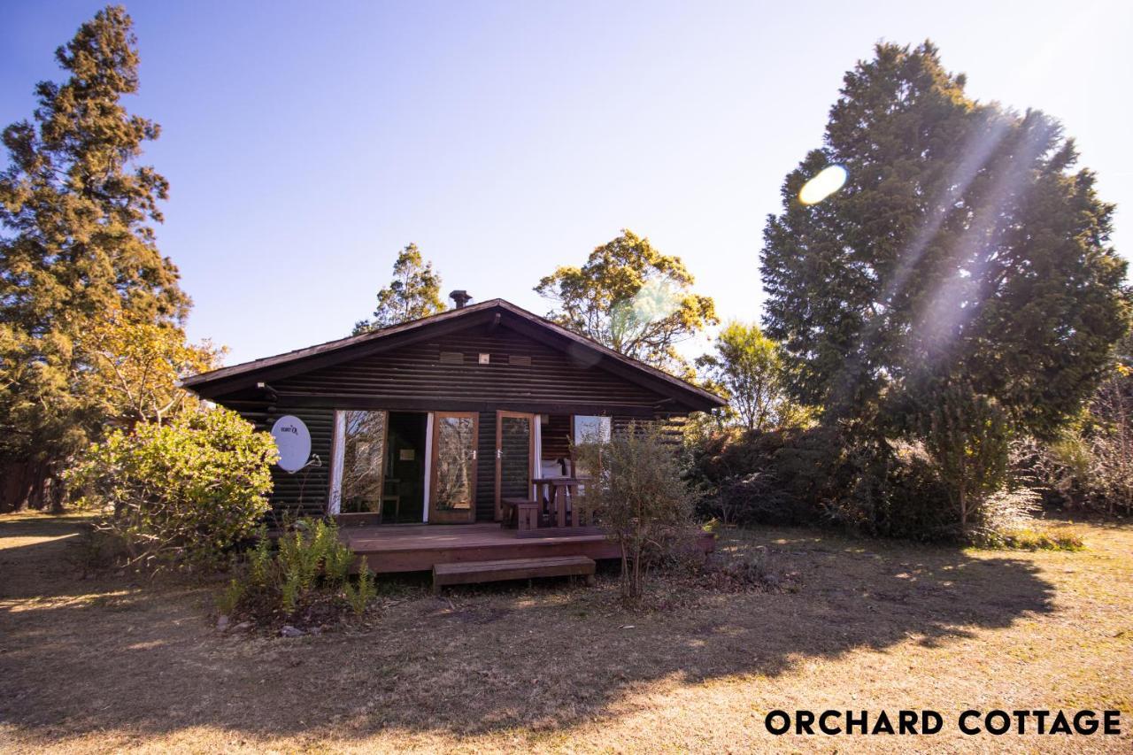 Jaya'S Place Hogsback Luaran gambar