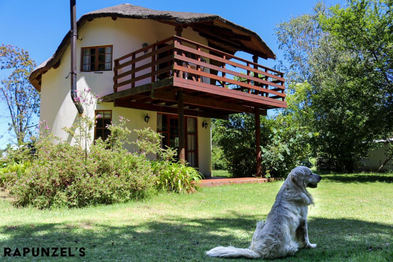 Jaya'S Place Hogsback Luaran gambar
